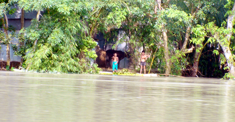 Jamalpur-Flood