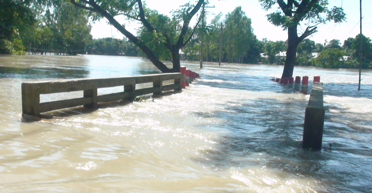 জামালপুরে ত্রাণের জন্য হাহাকার