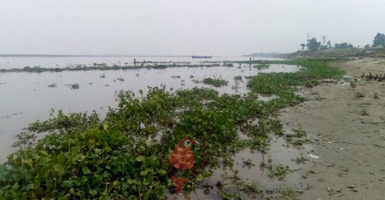 সেলফি তুলতে গিয়ে নদীতে ডুবে ৩ বোনের মৃত্যু