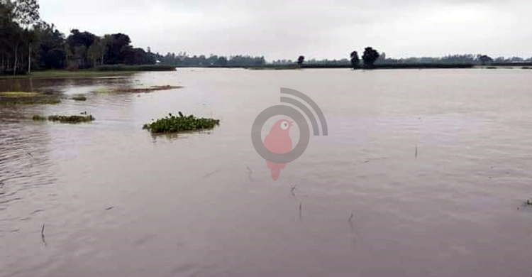ফুপুর বাড়ি বেড়াতে গিয়ে যমুনায় ডুবে এসএসসি পরীক্ষার্থীর মৃত্যু