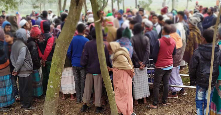 জানাজার নামাজে মৌমাছির হানা