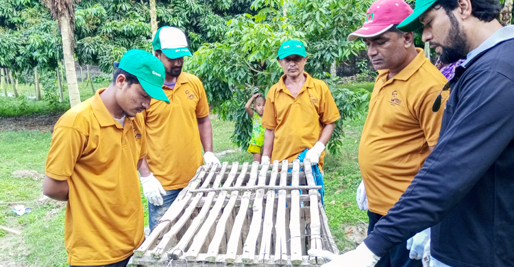 যশোরে উদ্ধার বনবিড়াল বনে অবমুক্ত