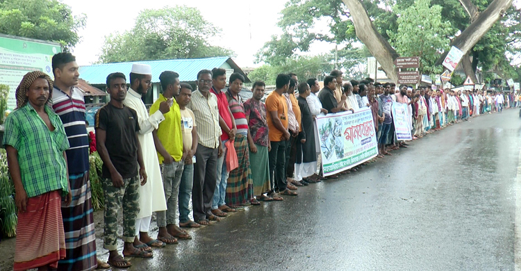 যশোর-বেনাপোল মহাসড়কের ঝুঁকিপূর্ণ গাছ অপসারণের দাবিতে মানববন্ধন