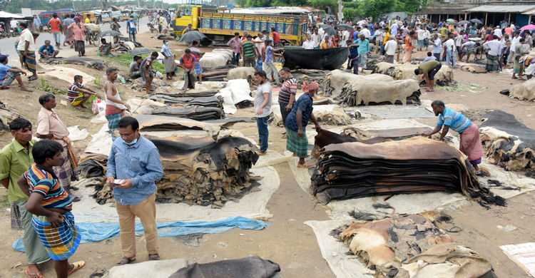 অবশেষে বাড়ল চামড়ার দাম