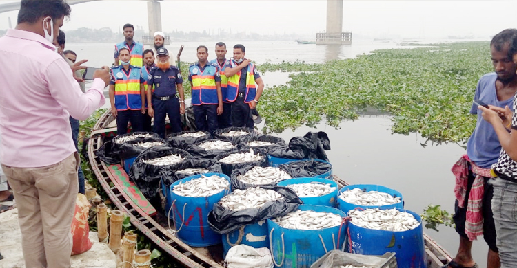 ৬ হাজার কেজি জাটকা ফেলে পালাল পাচারকারীরা