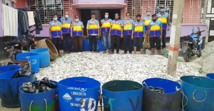 ১০০ মণ জাটকা ফেলে পালিয়ে গেলেন পাচারকারীরা