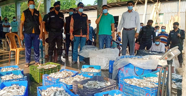 জাটকা বিক্রির দায়ে ৫ ব্যবসায়ীকে এক বছরের কারাদণ্ড