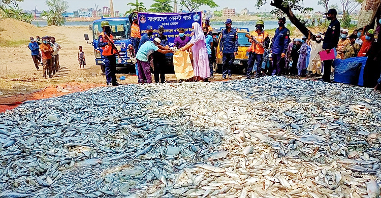 পোস্তগোলায় জব্দ ৬২০০ কেজি জাটকা এতিমখানায় বিলি