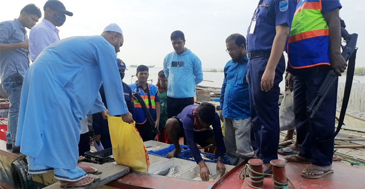 পদ্মায় ইলিশ ধরার সময় আটক ৫৫ জেলে