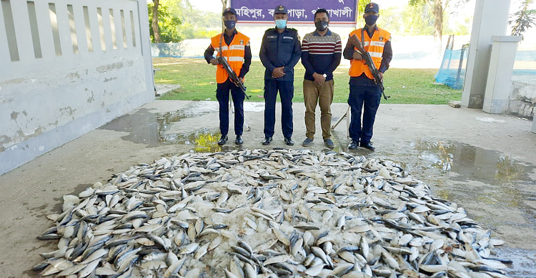 বিআরটিসি বাসে মিললো ৮শ কেজি জাটকা