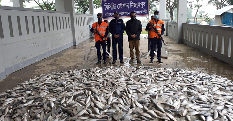 ট্রাক থেকে ১৮শ কেজি জাটকা জব্দ