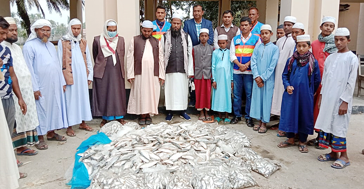 অভিযানে উদ্ধার হলো ১০ মণ জাটকা ও ৩ মণ চাপিলা