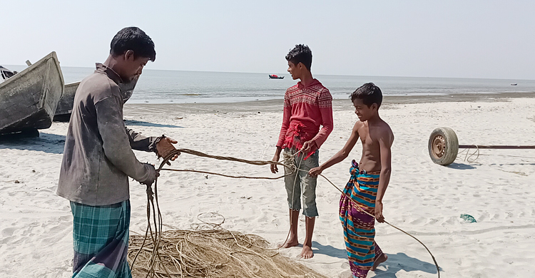 কুয়াকাটায় মিলছে শত শত জেলিফিশ, ক্ষতির মুখে জেলেরা