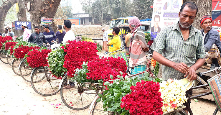 গদখালীতে ১০ দিনে বিক্রি ২৫ কোটি টাকার ফুল