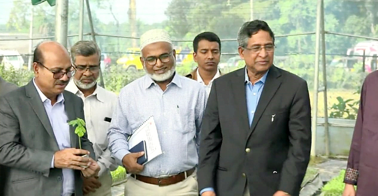 বাণিজ্যিক কৃষি ব্যবস্থা গড়তে কাজ করছে সরকার: কৃষিমন্ত্রী