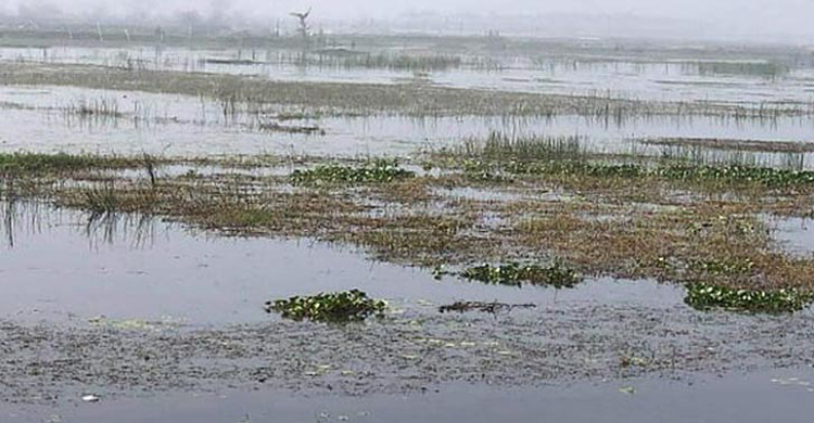 যশোরে ইপিজেড: অধিগ্রহণকৃত জমির ন্যায্যমূল্য চান মালিকরা
