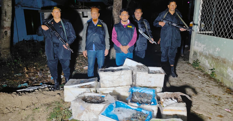 যশোরে জেলি পুশ করা ৬০০ কেজি চিংড়ি ধ্বংস