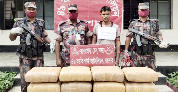 শার্শায় ৮৮ কেজি গাঁজা উদ্ধার, কারবারি আটক