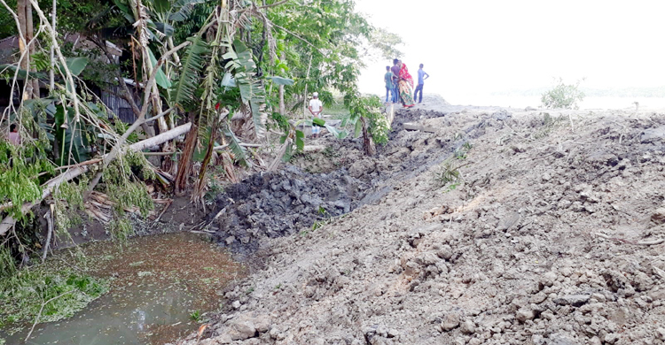 বাঁধ নির্মাণে খালের মুখ বন্ধ, ৩০০ বিঘা জমি নিয়ে দুশ্চিন্তা