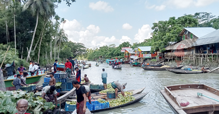 পদ্মা সেতু হয়ে ৪ ঘণ্টায় ঢাকা আসছে ঝালকাঠির পেয়ারা