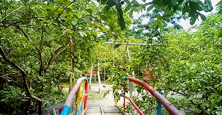 পর্যটকের অপেক্ষায় ঝালকাঠির পেয়ারারাজ্য