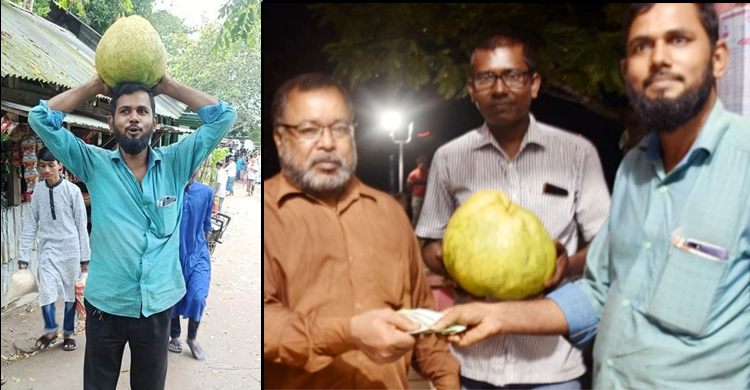 নিলামে বিক্রি হলো এক জাম্বুরা, দাম ৬ হাজার