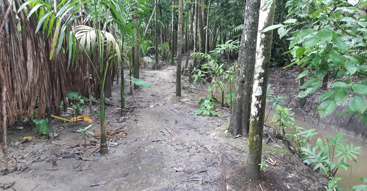 কাজ না করে অর্থ হাতিয়ে নিলেন আ.লীগের নেতা!