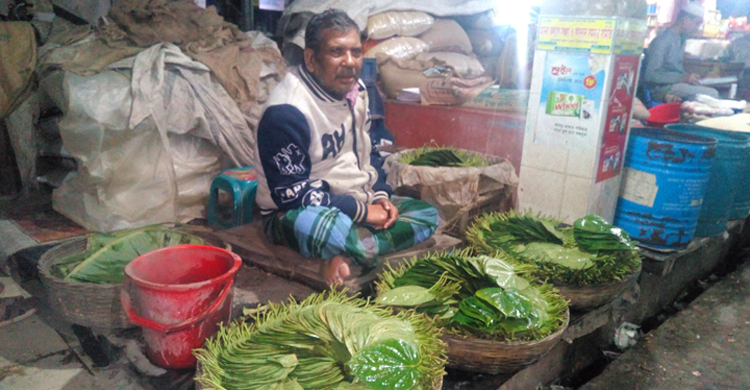 ঝালকাঠিতে পান সঙ্কট, আনতে হচ্ছে রাজশাহী থেকে