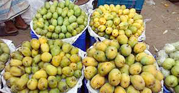অপরিপক্ব ফলে সয়লাব ঝালকাঠির বাজার