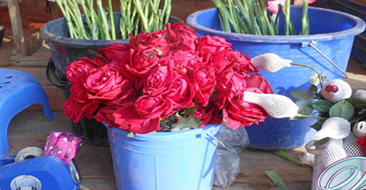 ভালোবাসার গোলাপের বেড়েছে দাম