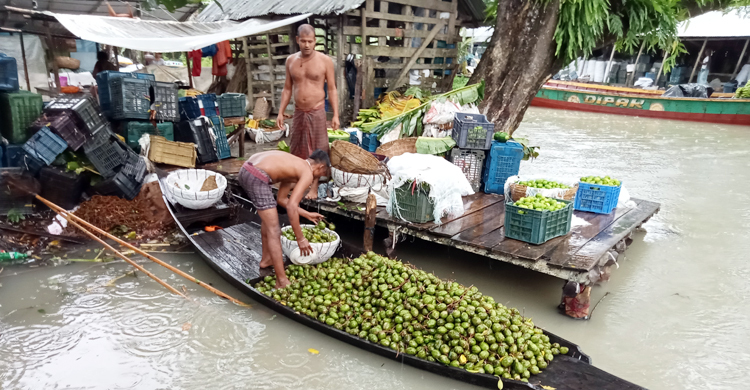 বিদেশে যাচ্ছে ঝালকাঠির আমড়া