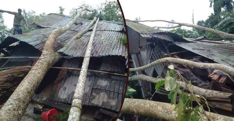 ঘূর্ণিঝড়ে ঝালকাঠিতে ব্যাপক ক্ষয়-ক্ষতি