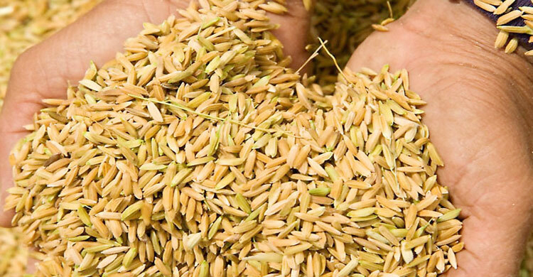 ধান-চাল সংগ্রহে ব্যর্থ খাদ্যবিভাগ