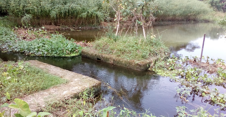 Special Report Country