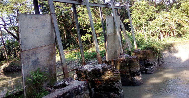 Special Report Country