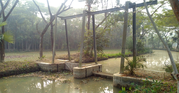 Special Report Country