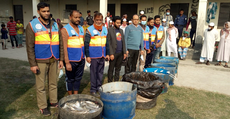 বাজারে পাওয়া গেল মালিকবিহীন ৩৩ মণ জাটকা