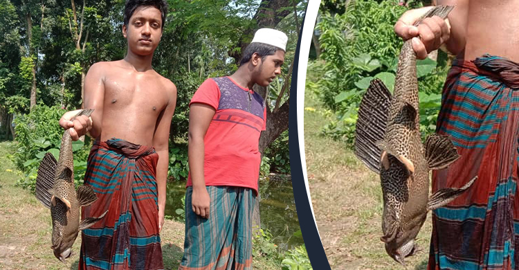 জালে ধরা পড়লো বিরল প্রজাতির মাছ