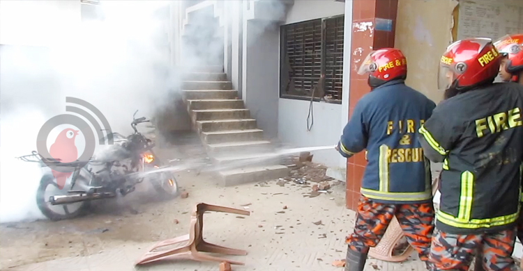 রক্তাক্ত শৈলকুপায় এক মাসের ব্যবধানে ৭ খুন