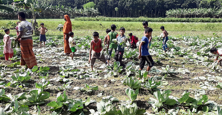 এ কেমন শত্রুতা