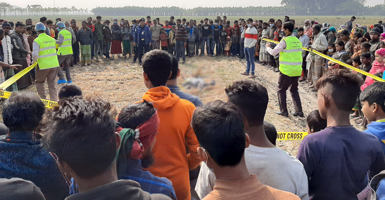 বিলের মাঠ থেকে মৃতদেহ উদ্ধার