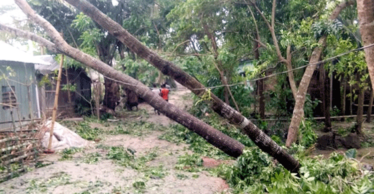 ঝড়ে ঘরের খুঁটির নিচে পড়ে নারীর মৃত্যু