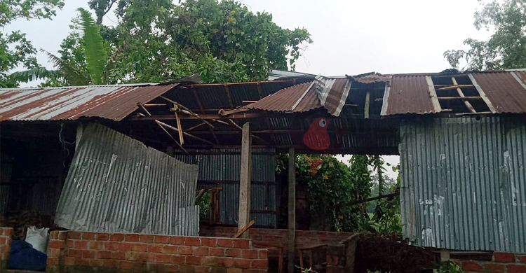কুড়িগ্রামে কালবৈশাখী ঝড়ে দুই শতাধিক বসতবাড়ি লন্ডভন্ড