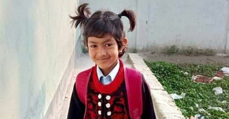 দাদির সঙ্গে স্কুলে গিয়ে ফেরার পথে প্রাণ গেলো শিশুর