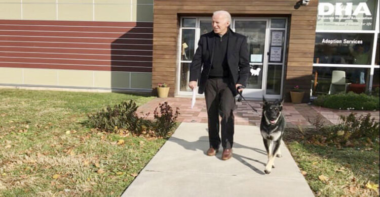 Biden fractures foot after slipping while playing with dog
