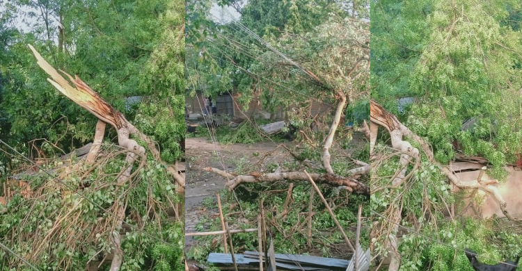 ৫ মিনিটের কালবৈশাখীতে লন্ডভন্ড চুয়াডাঙ্গা