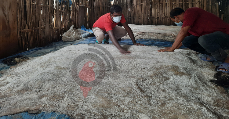 জয়পুরহাটে ঈদে চামড়া কেনার প্রস্তুতি নেই, পাচারের আশঙ্কা