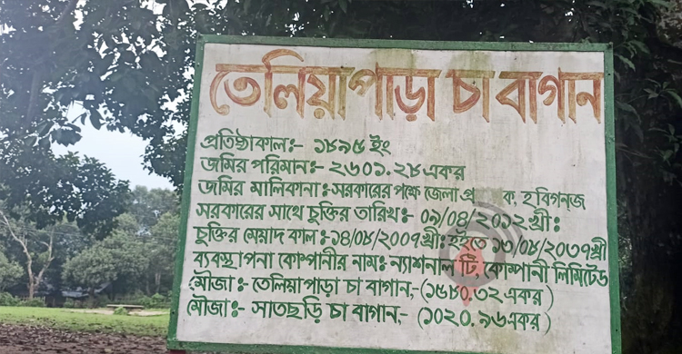 আনুষ্ঠানিক যুদ্ধ পরিচালনার সাক্ষী তেলিয়াপাড়া চা বাগান