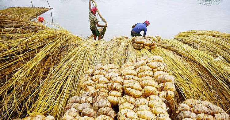 প্রাচ্যের ড্যান্ডি এখন শিল্প এলাকা