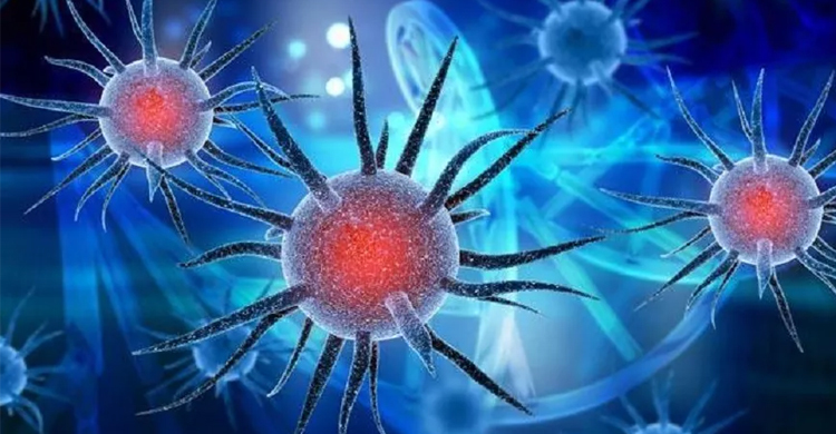 লক্ষ্মীপুরে করোনা উপসর্গে নারীর মৃত্যু